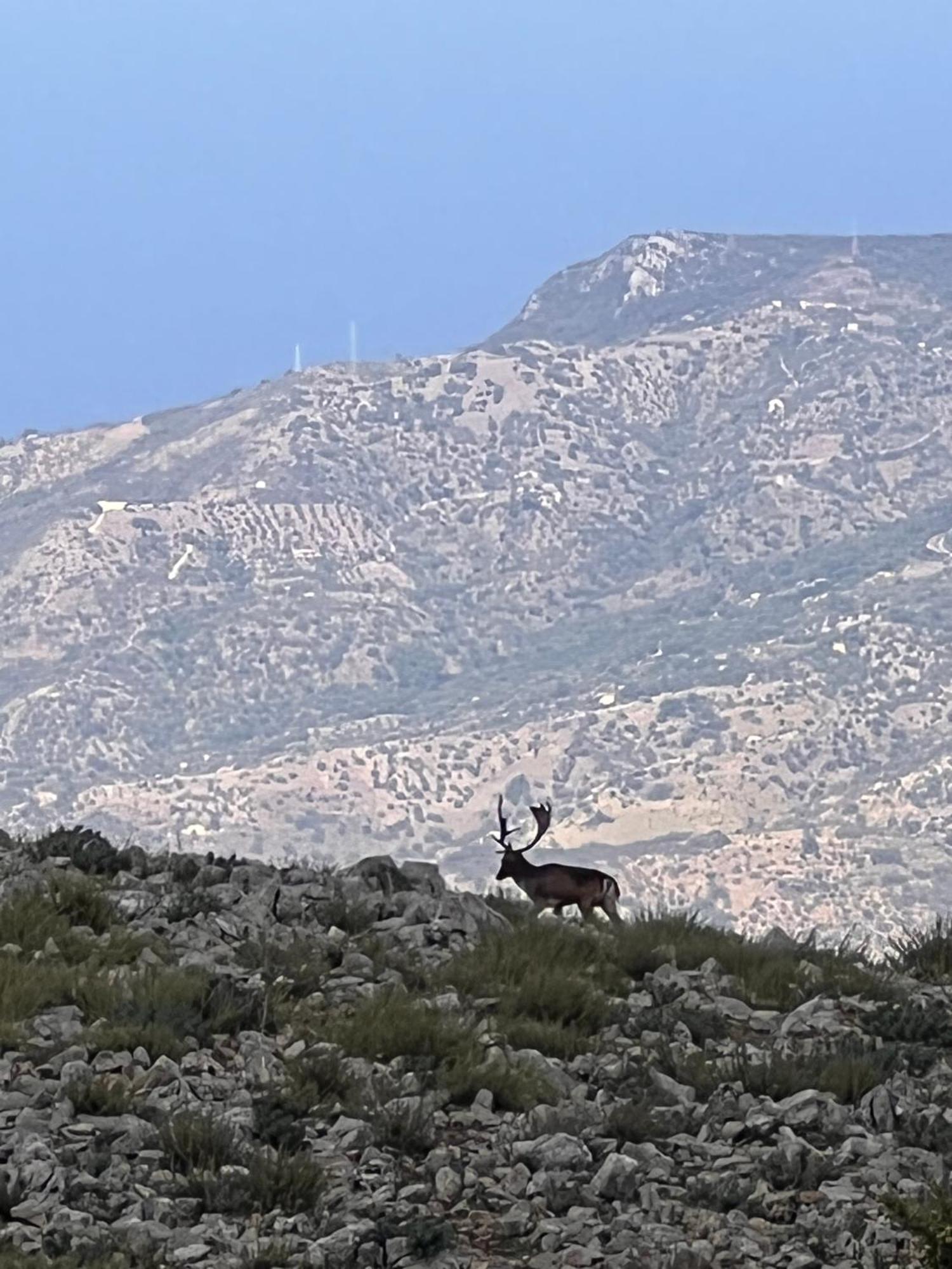 Mandra Chiusilla Villa Collesano Luaran gambar